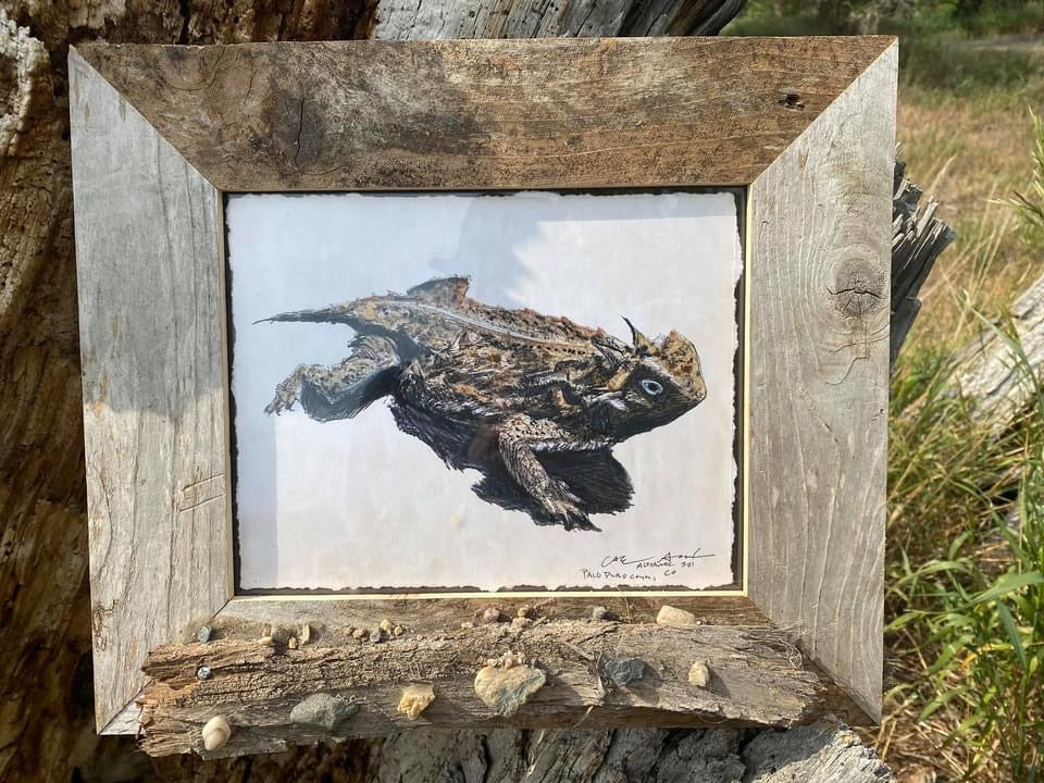 Watercolor Horn Toad