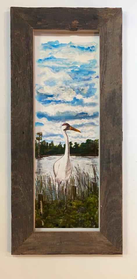 Candice Alexander, Alexander Art, Art, Louisiana, Lake Charles, Calcasieu Parish, Southwest, Gulf of Mexico, Swamp, Whooping Crane, Watercolors, Louisiana bayou, Louisiana Swamp