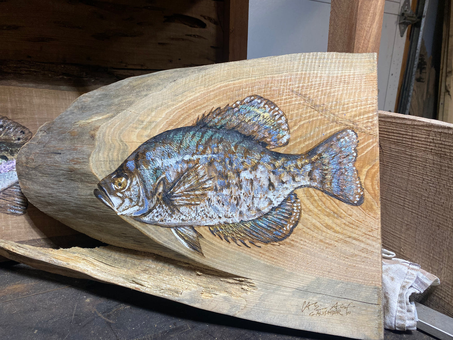 Crappie (Sac Au Lait) Wood Engraving "One of a Kind"