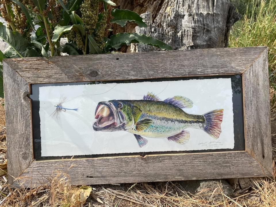 Candice Alexander, Alexander Art, Louisiana, Southwest Louisiana, Fishing, Bass