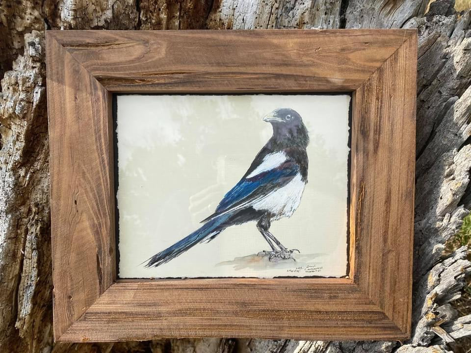 Watercolor Magpie Bird