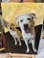 Custom Painted Dog Portraits