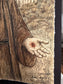 Saint Padre Pio