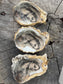 Fleur du Cœur Oyster