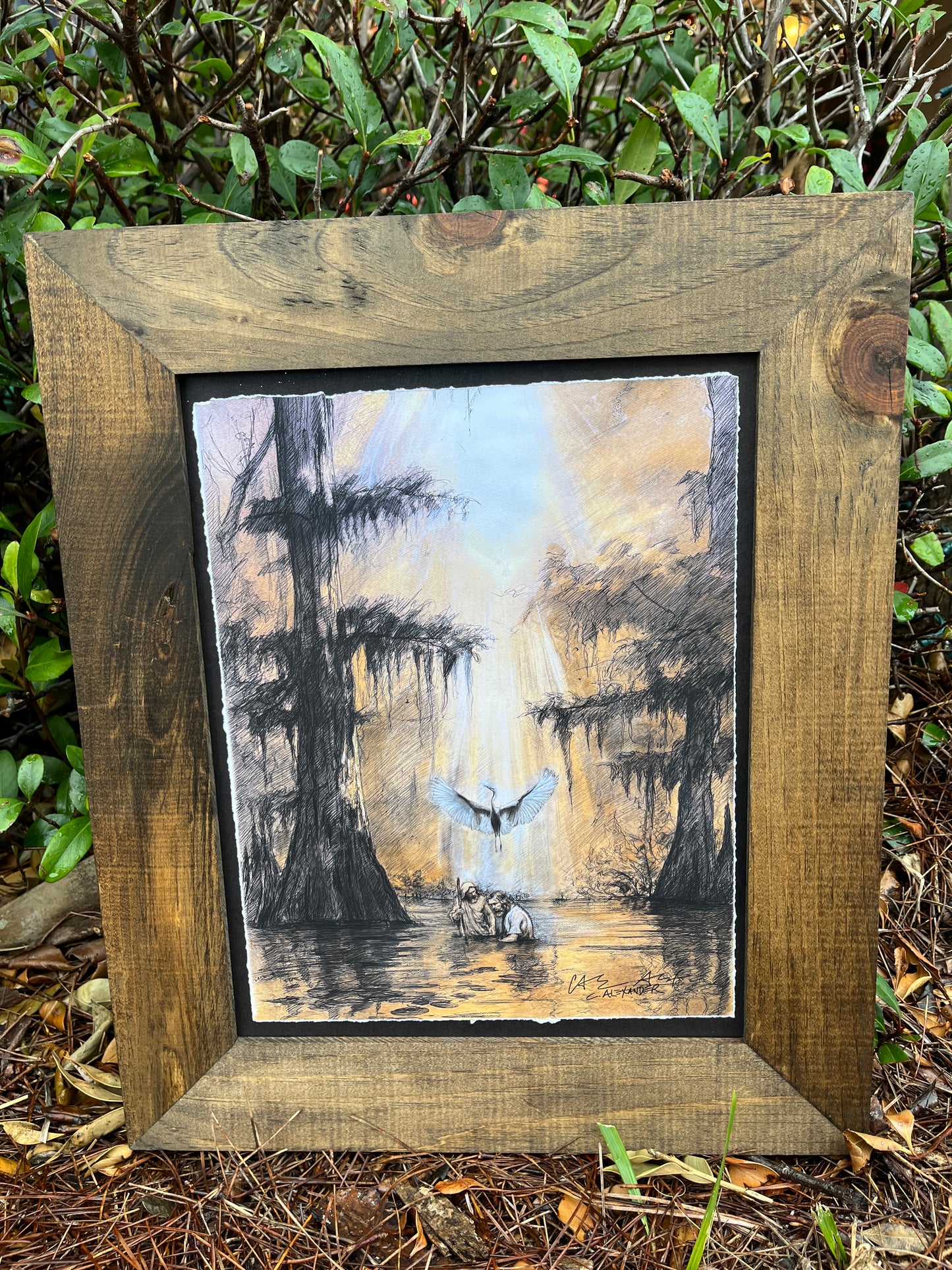 The Baptism- Lift Me in the Light