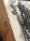 Evangeline Oak