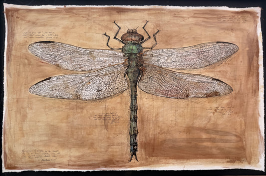 Lift Me in the Light (Dragonfly)