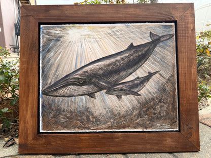 Protect Rice’s Whales