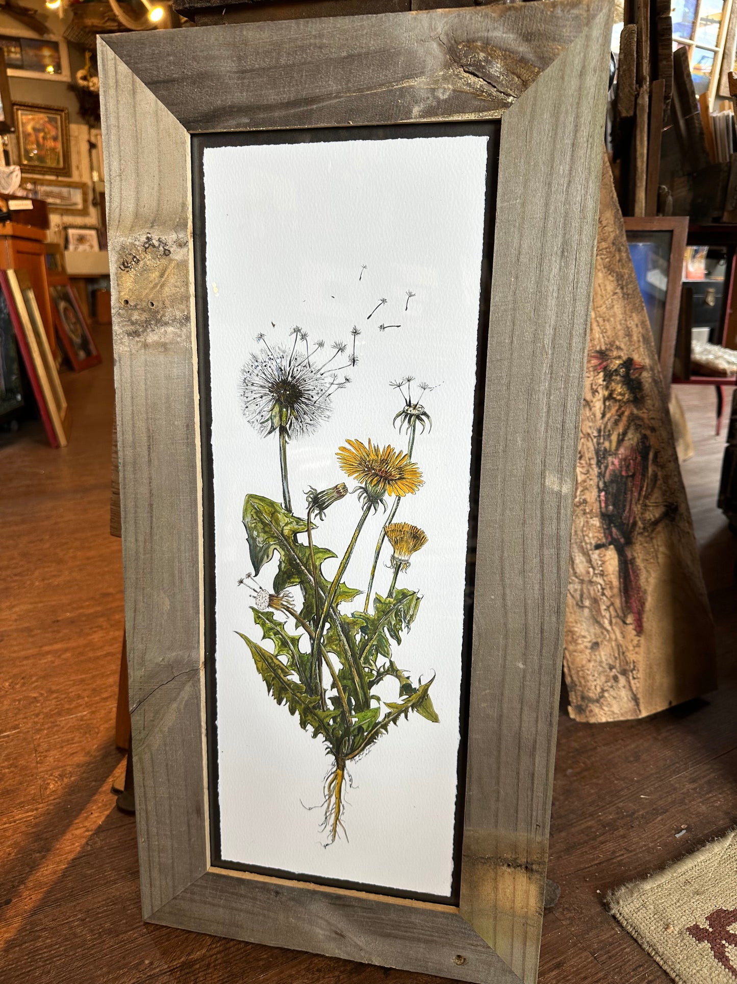 Dandelion