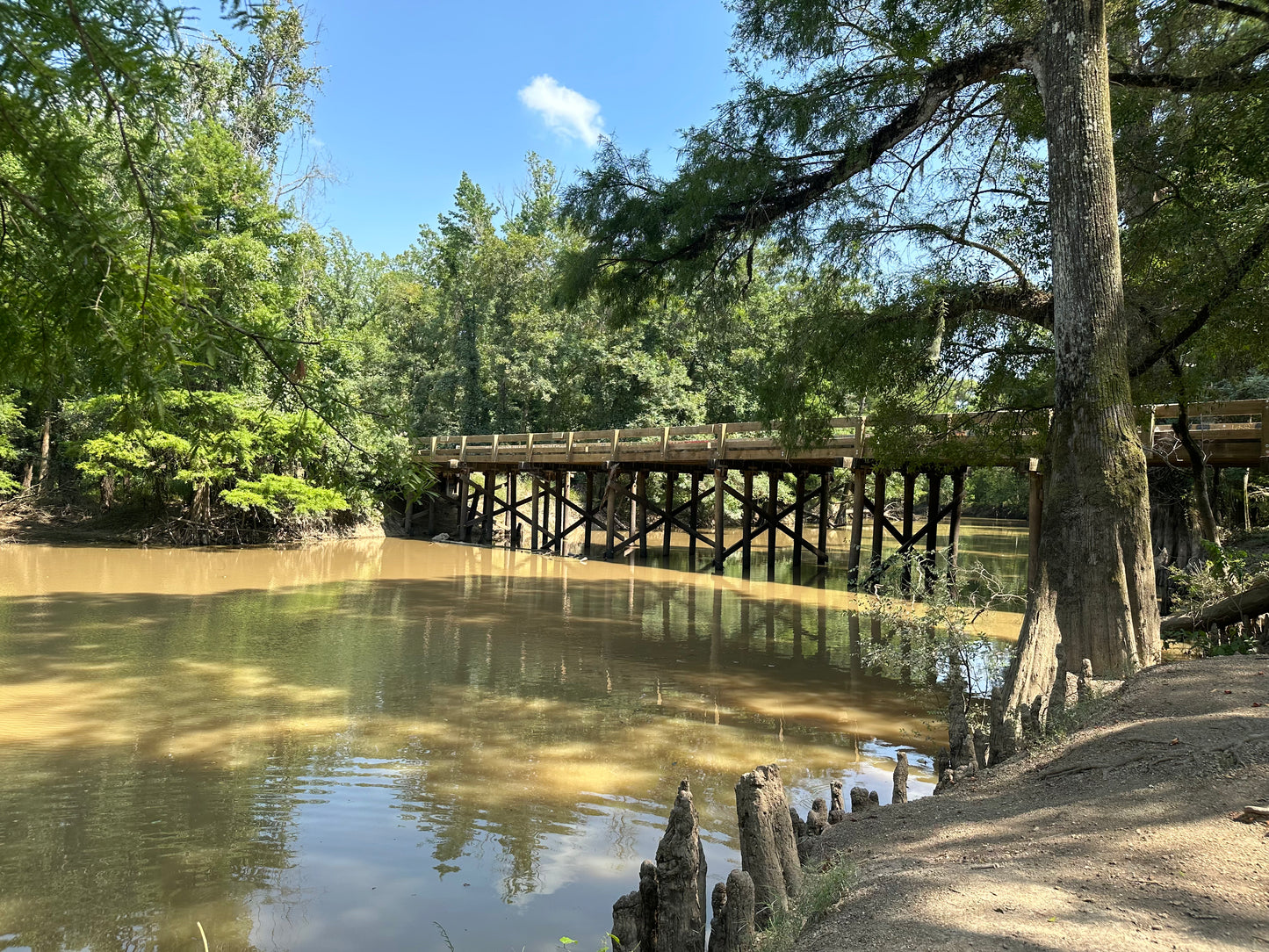 “Panchoville, LA” Hathaway - Bayou Nezpique Watercolor