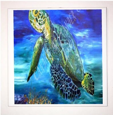 Sea Turtle