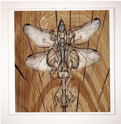 Dragonfly Wood Background