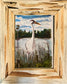 Candice Alexander, Alexander Art, Art, Louisiana, Lake Charles, Calcasieu Parish, Southwest, Gulf of Mexico, Swamp, Whooping Crane, Watercolors, Louisiana bayou, Louisiana Swamp