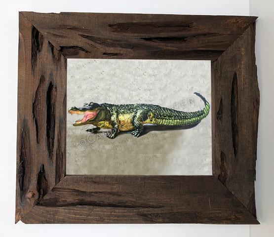 Candice Alexander Alligator Louisiana Cypress Frame