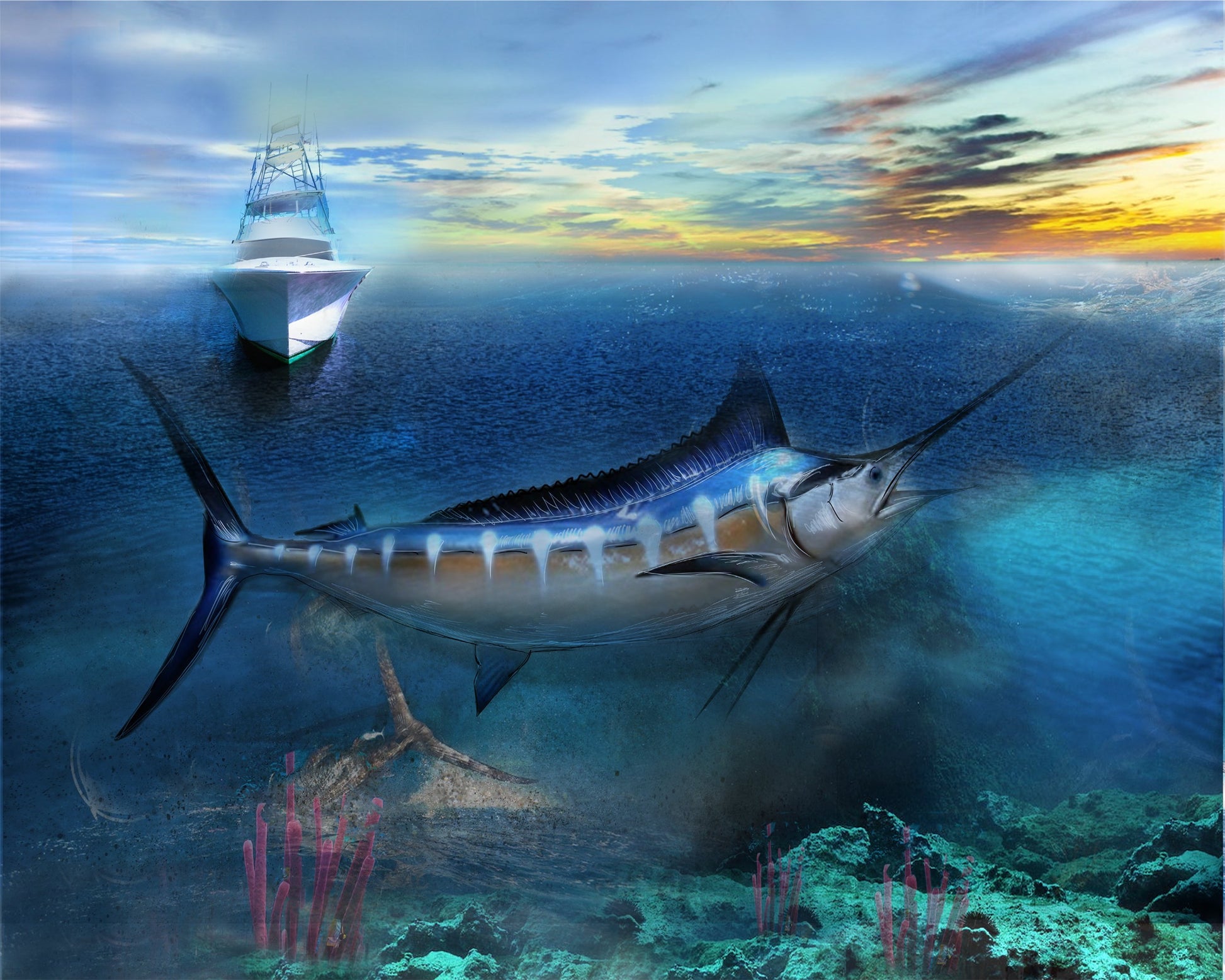 Blue Marlin Fish Wallpaper