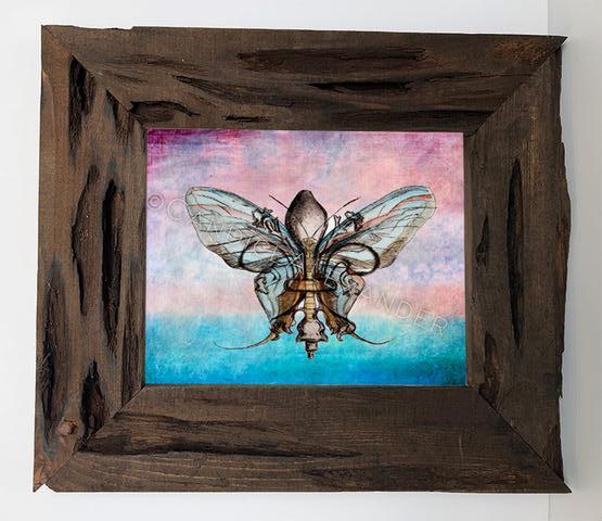 Candice Alexander Fleur De Lis Butterfly Louisiana Cypress Frame