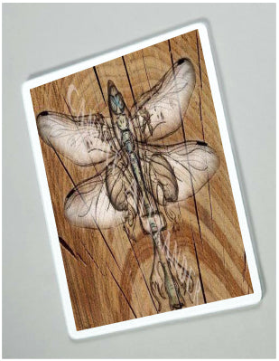 Dragonfly Wood Background