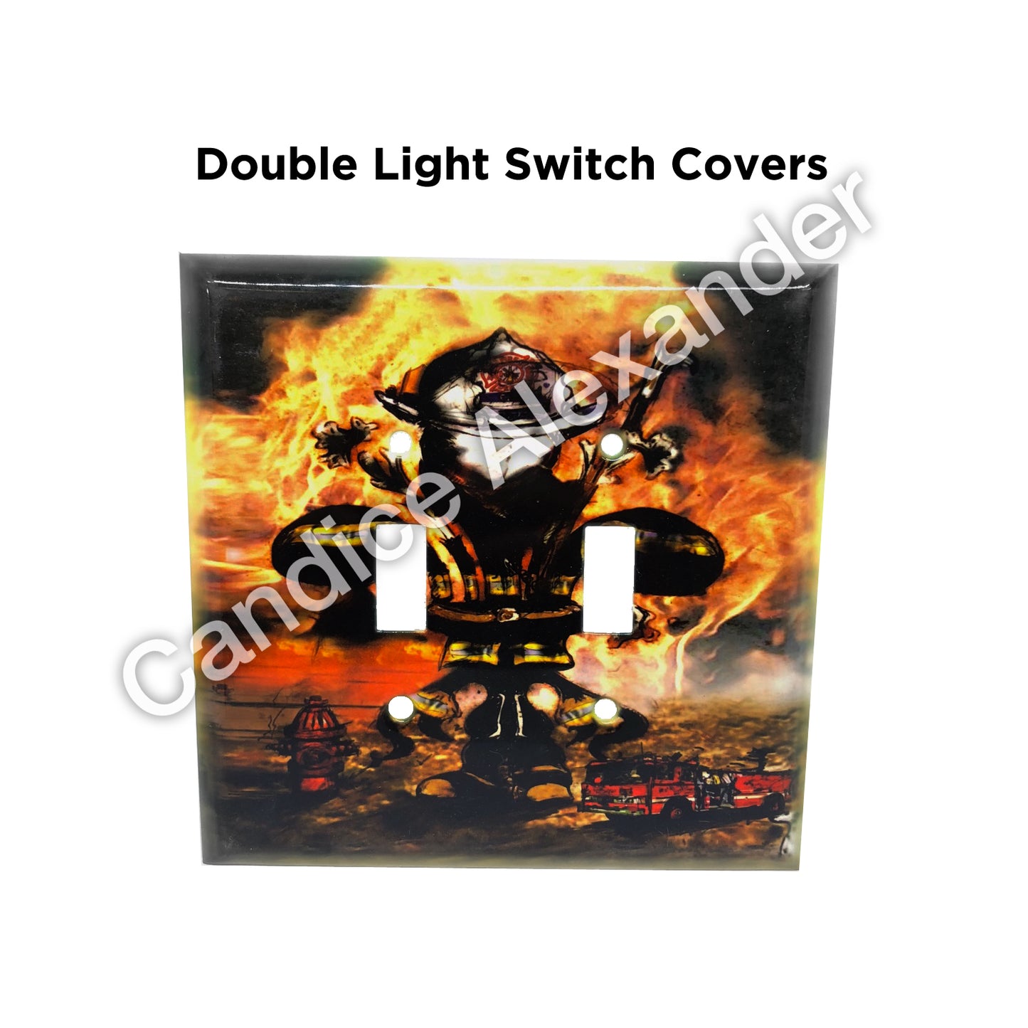 Customizable Double Switch Plate