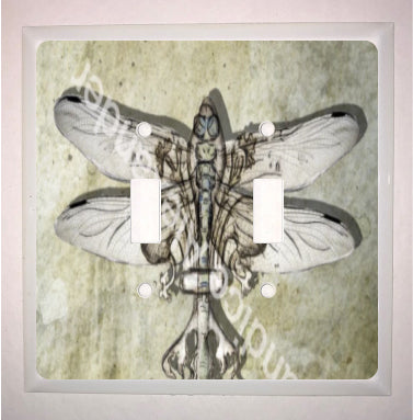 Dragonfly Antique