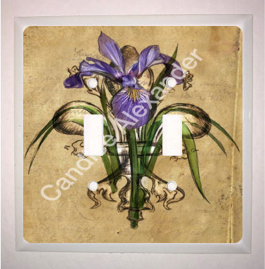 Purple Iris