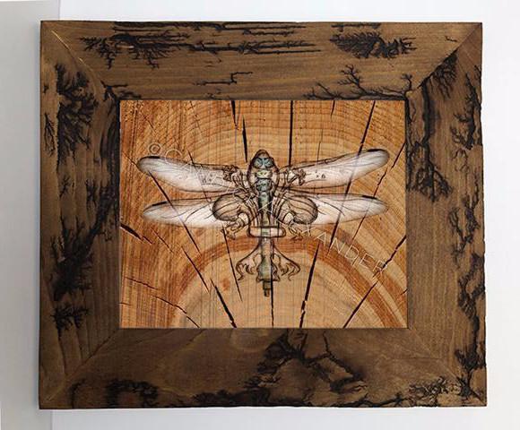 Candice Alexander Fleur De Lis Dragonfly Electrocuted Frame