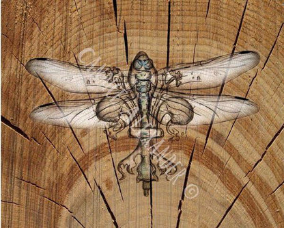 Candice Alexander Fleur De Lis Dragonfly Design Fleur De Lis art by Candice Alexander, Louisiana Artist