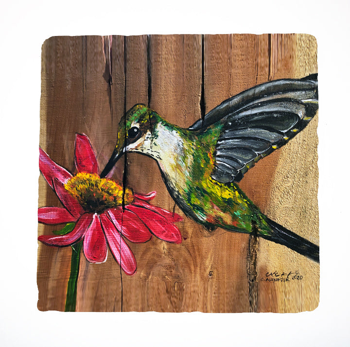 Hummingbird acrylic painting art by Louisiana artist candice Alexander 