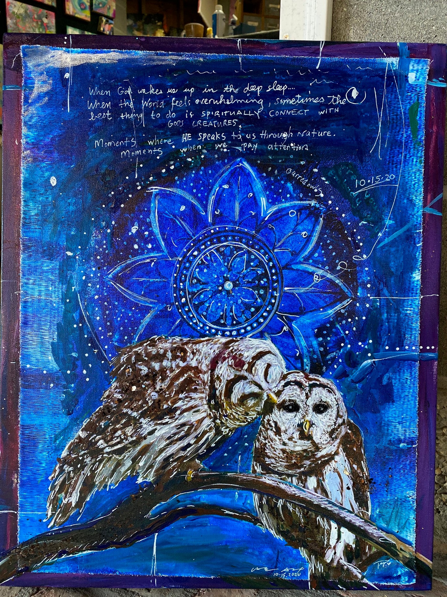 Barred Owl Spirit Animal, SIGNED LIMITED EDITION OF 40 ONLY