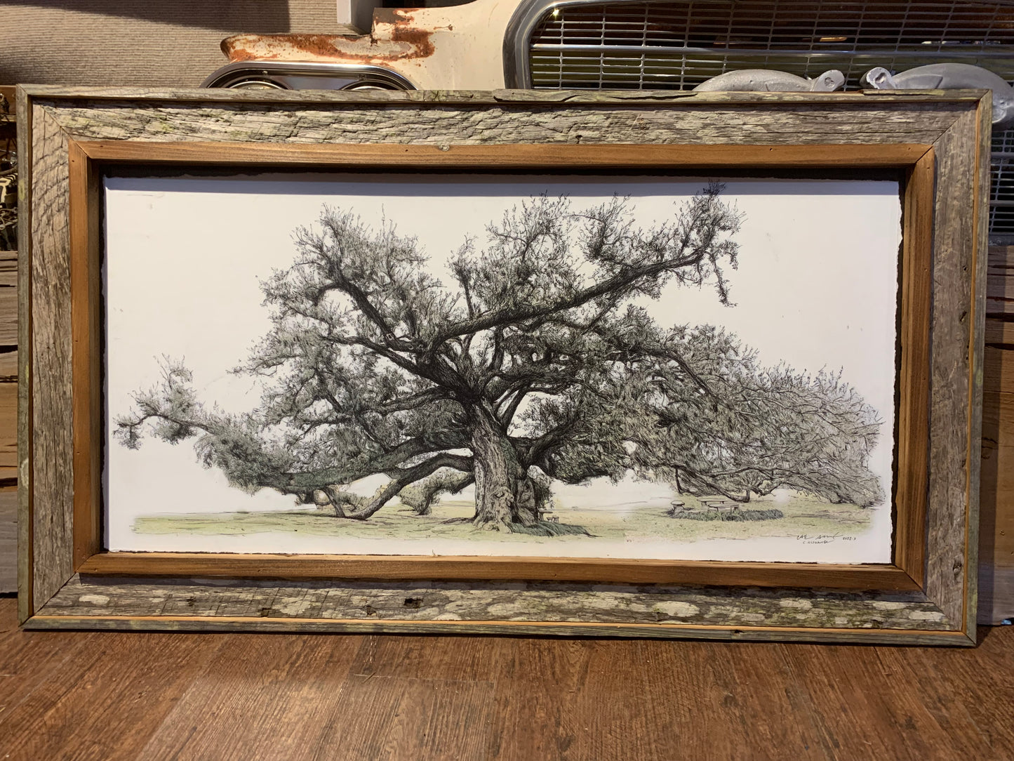 Majestic Sallier Oak (Original)