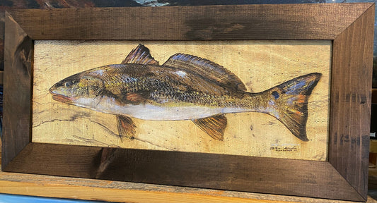 Redfish Wood Engraving Print