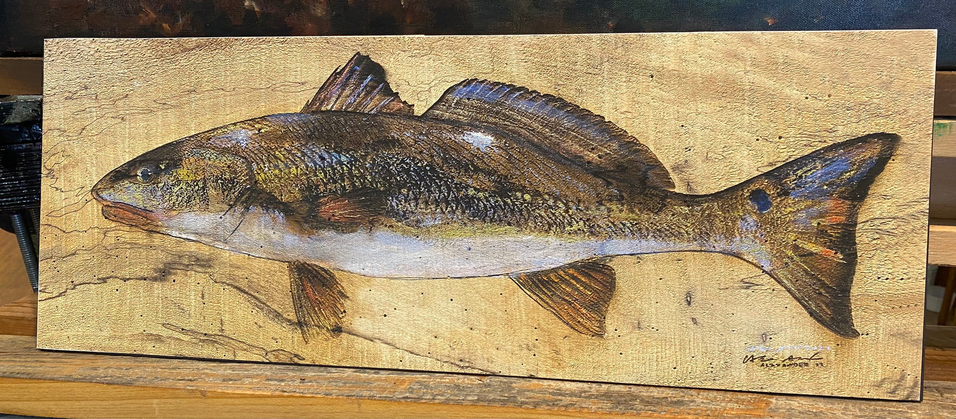 Red Fish Contour Redfish Art