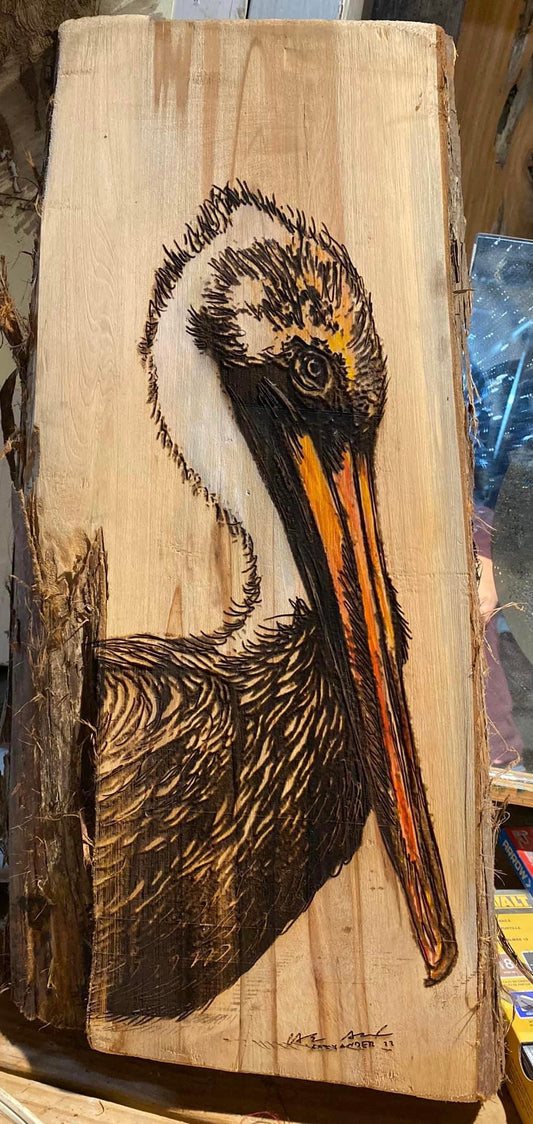 Brown Pelican Wood Engraving