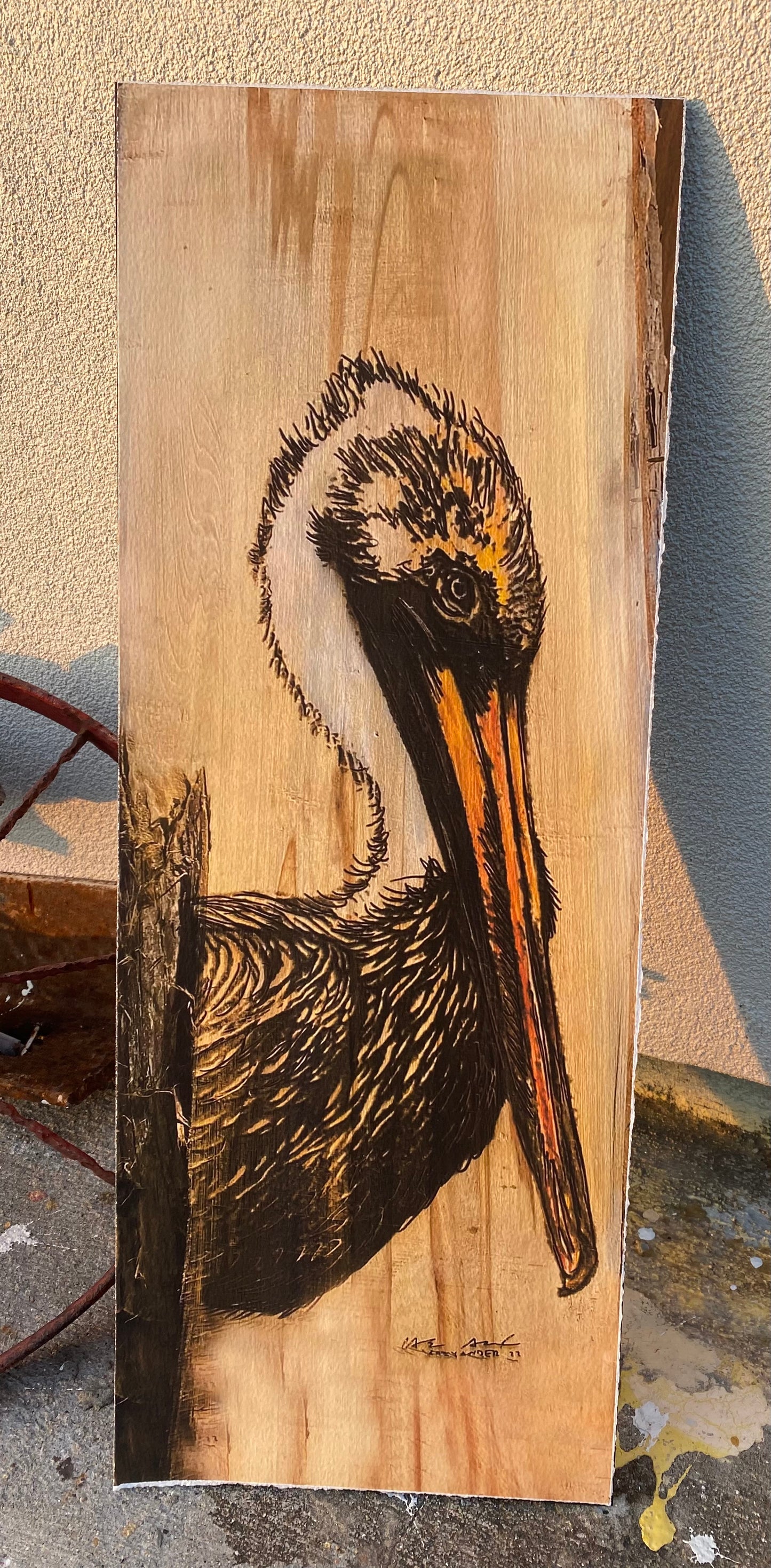 Brown Pelican Wood Engraving
