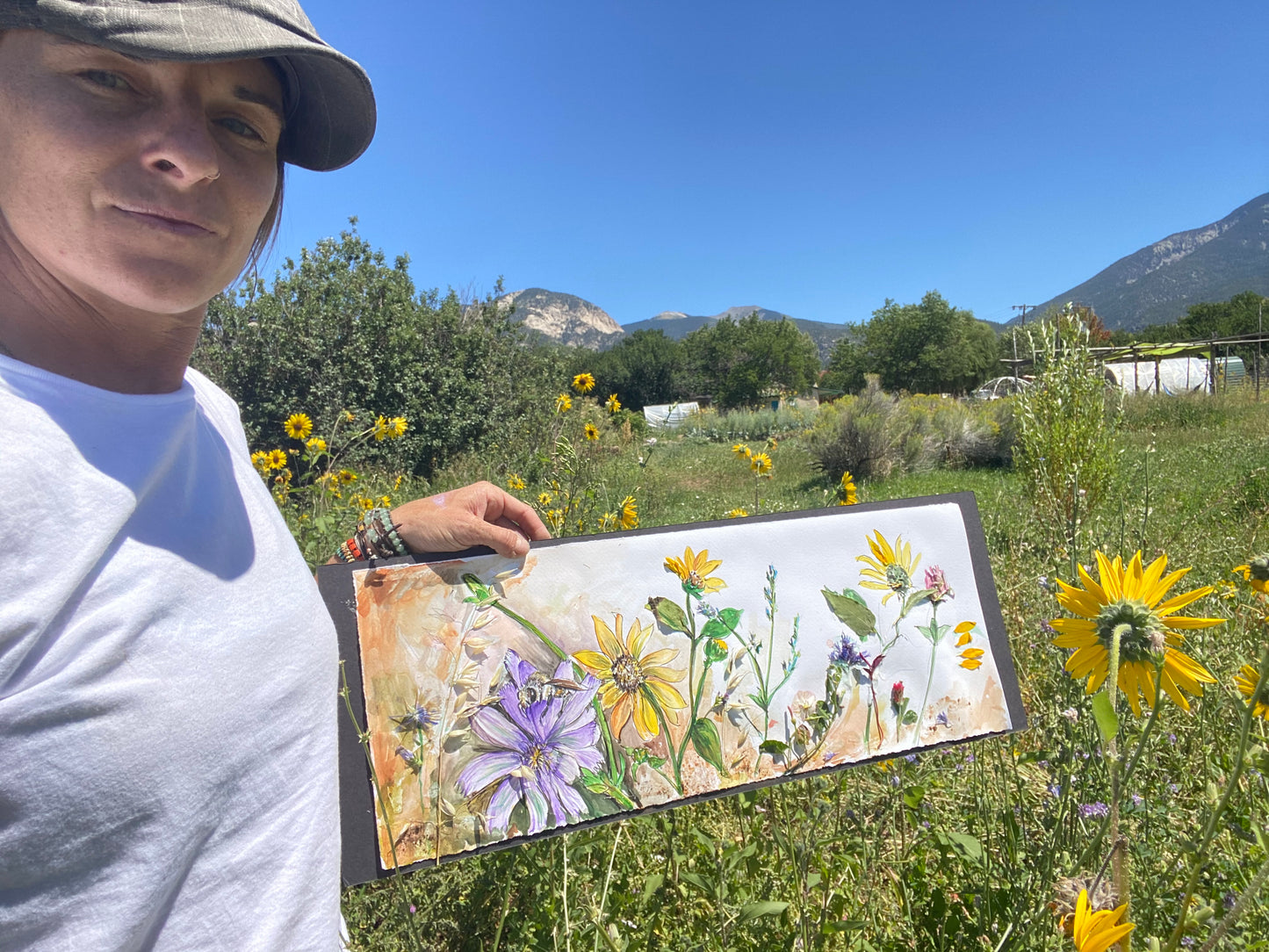 Candice Alexander, Alexander Art, Art, Louisiana, Wild Flowers, Mountain, Flowers, Lake Charles, Calcasieu Parish, Southwest, Arroyo Seco, Snow Mansion, Taos, New Mexico,