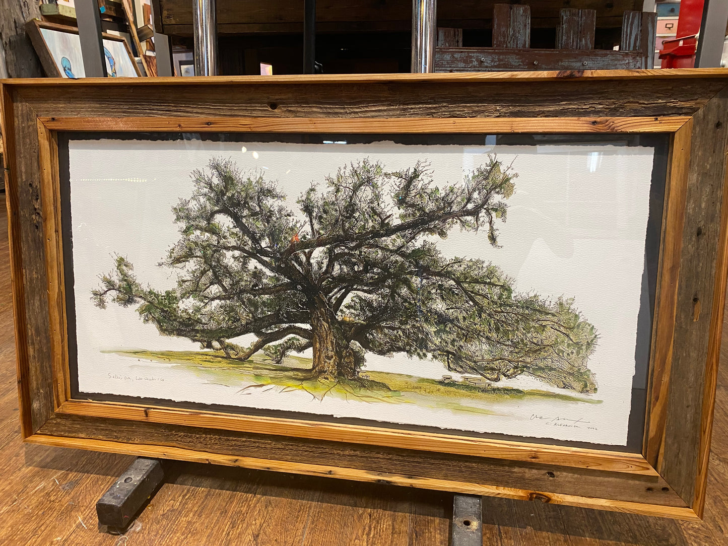 Majestic Sallier Oak