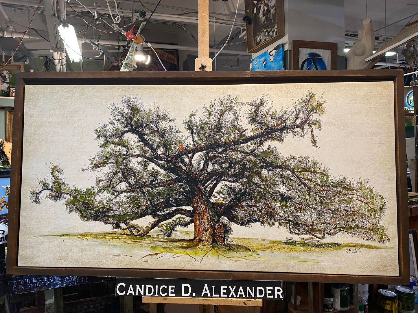 Majestic Sallier Oak