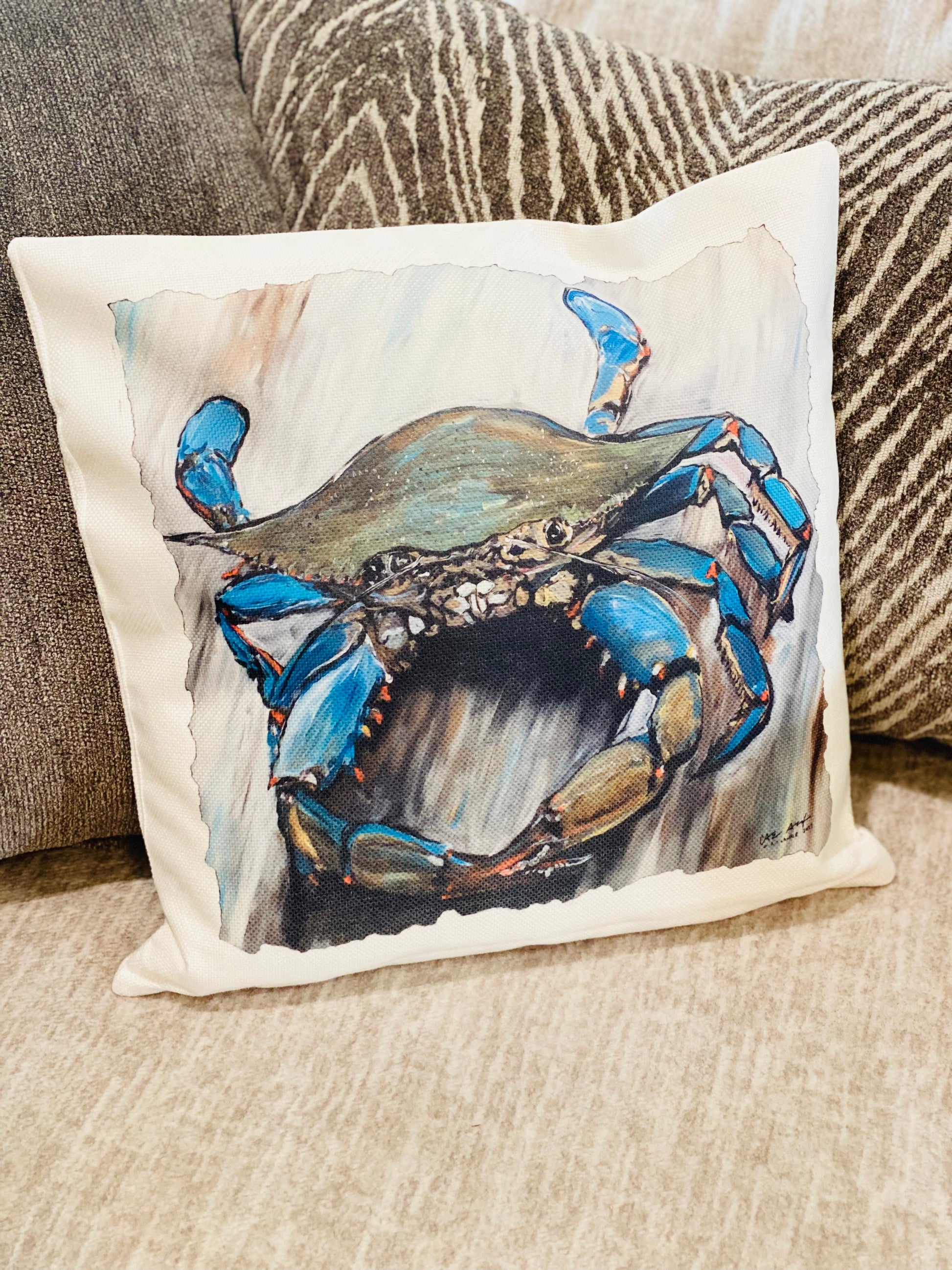 Custom Pillows with Pictures, 65% OFF