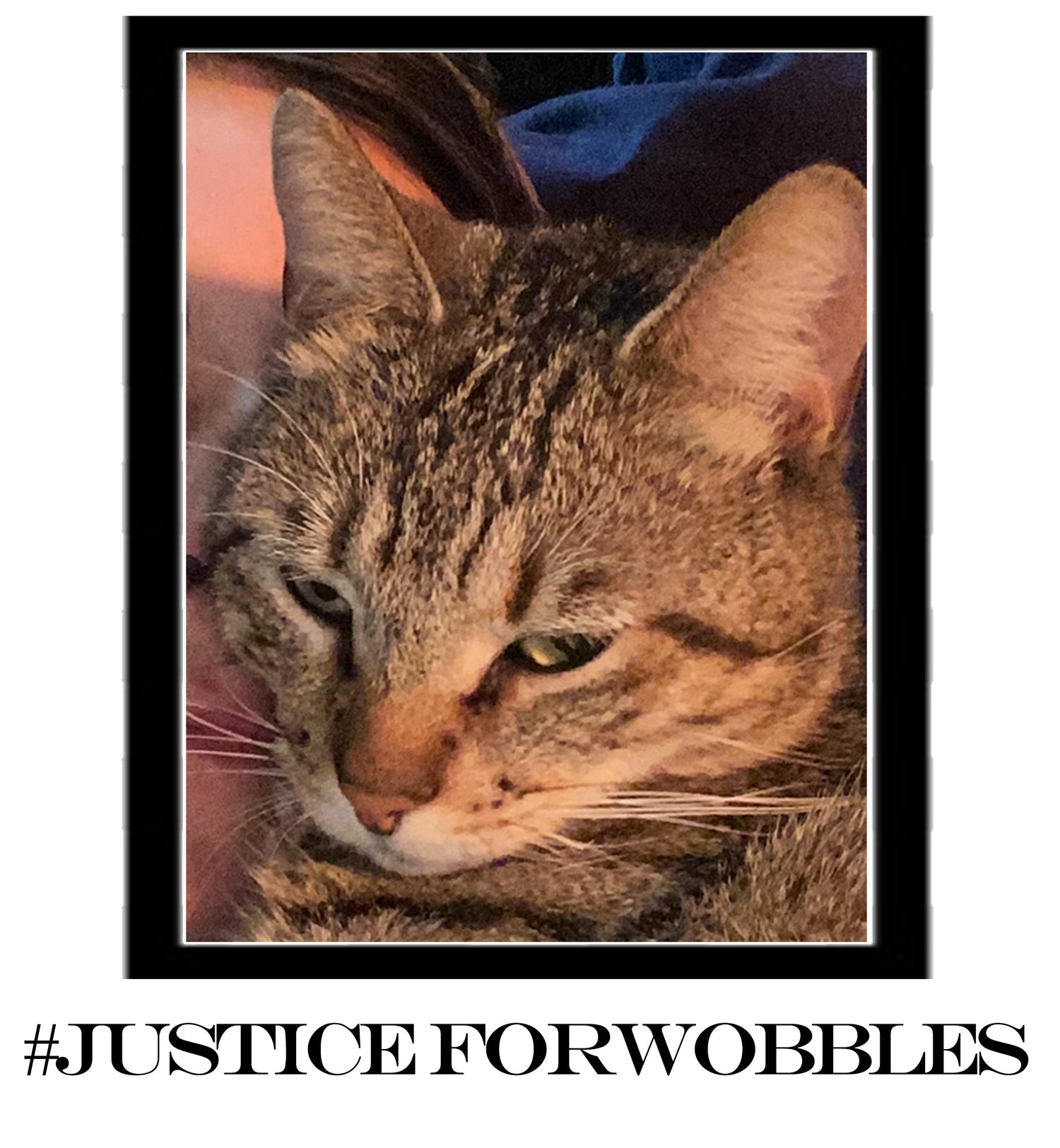 Justices for Wobbles