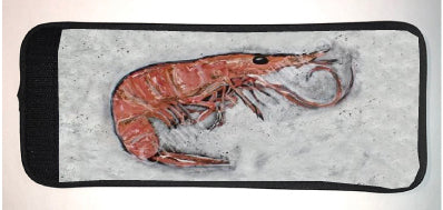 Shrimp – Candice Alexander Art Studio