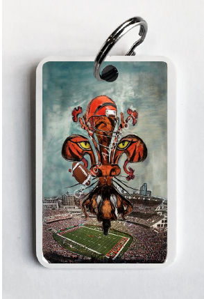 Cincinnati Bengals