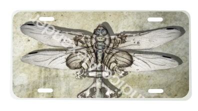 Dragonfly Antique