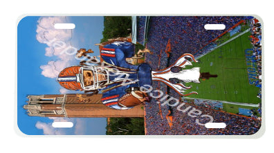 University Of Florida Football