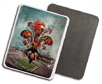 Cincinnati Bengals