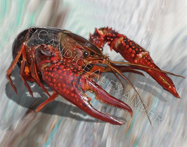 Candice Alexander New Crawfish Design Fleur De Lis art by Candice Alexander, Louisiana Artist