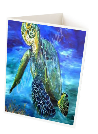 Sea Turtle