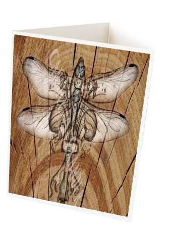 Dragonfly Wood Background