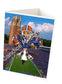 University Of Florida Football