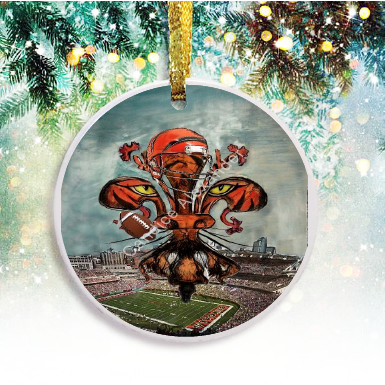 Cincinnati Bengals