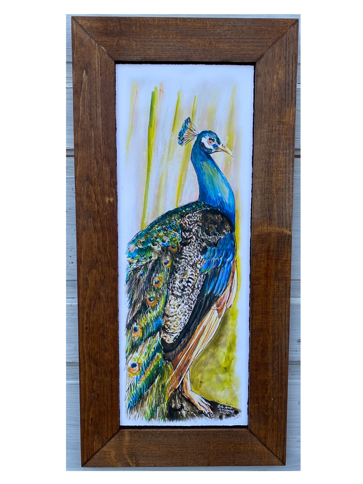 Peacock Original
