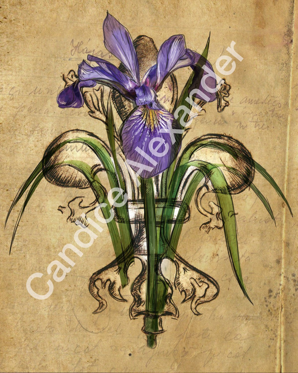 Purple Iris Fleur De Lis art by Candice Alexander, Louisiana Artist Fleur de Lis Design Candice Alexander Fleur De Lis Artist